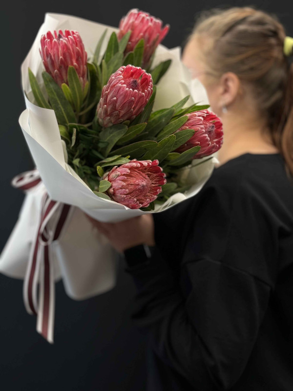 Букет #540 из красной протеи