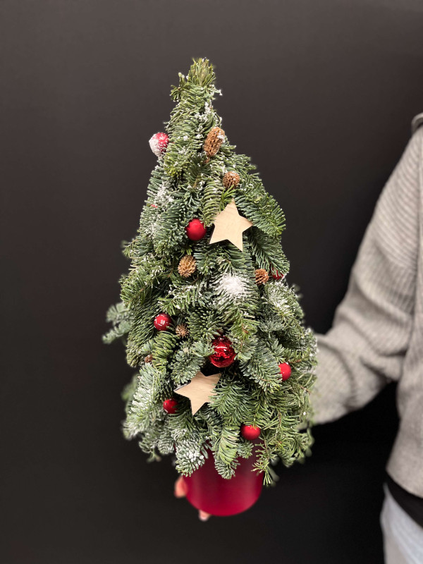 Елочка из нобилиса 50 см #91 с красным декором