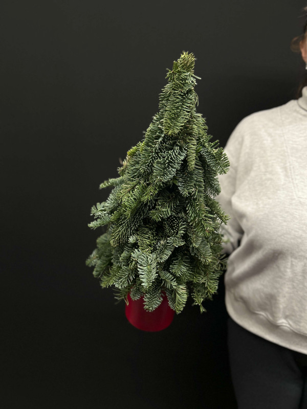 Елочка #54  из нобилиса 40 см без декора