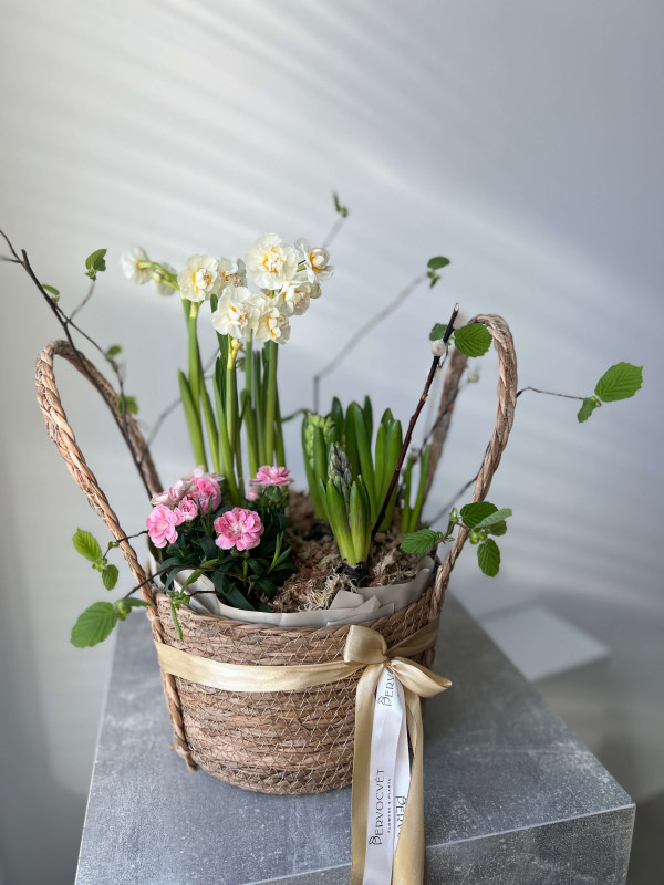 Корзина первоцветов #1 нарцисс, гиацинт, гвоздика