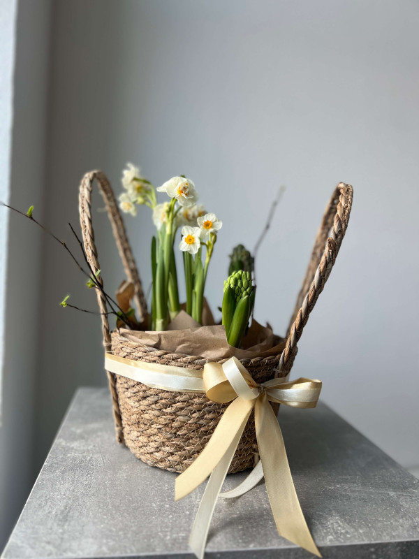 Корзина первоцветов #2 нарцисс, гиацинт