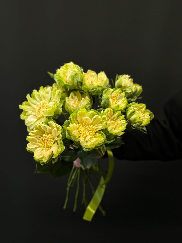 Букет 11 роз Вегги