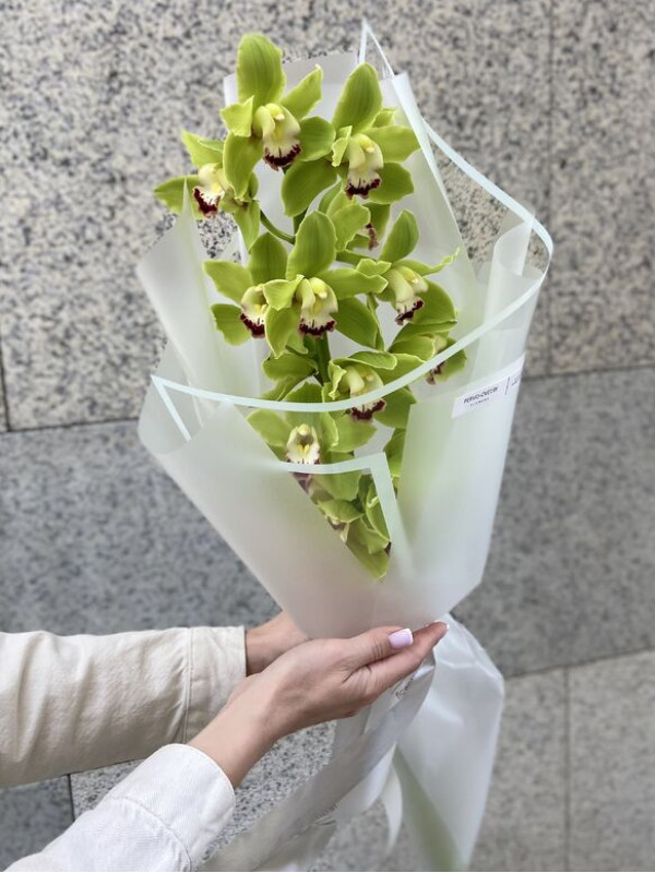 Букет #239 из цимбидиума