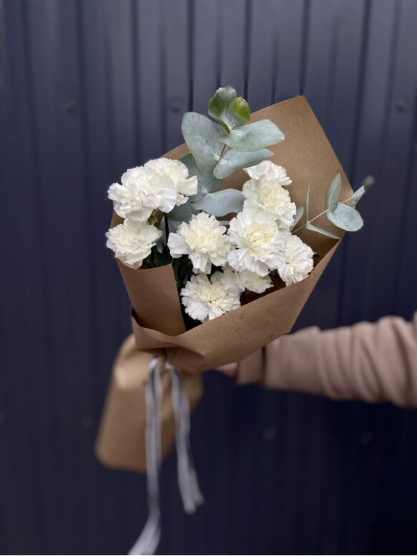 Букет #314 из гвоздик с эвкалиптом