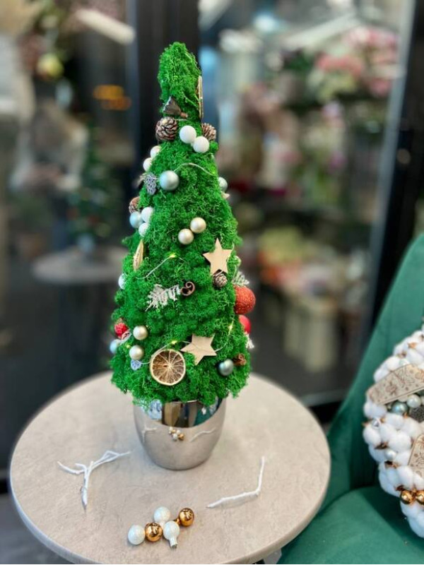 Елочка из мха с гирляндой #26