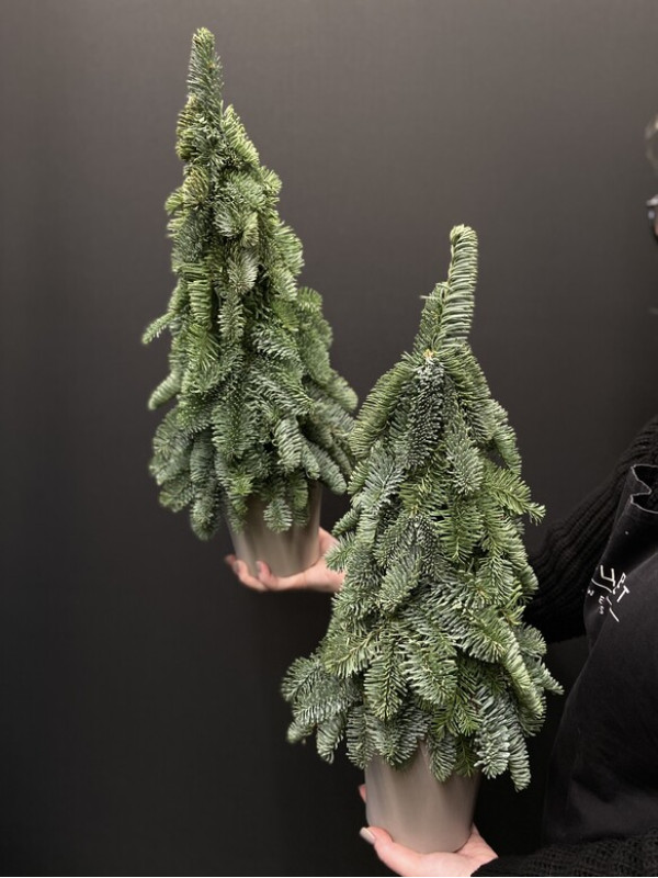 Елочка #84  из нобилиса 60 см без декора