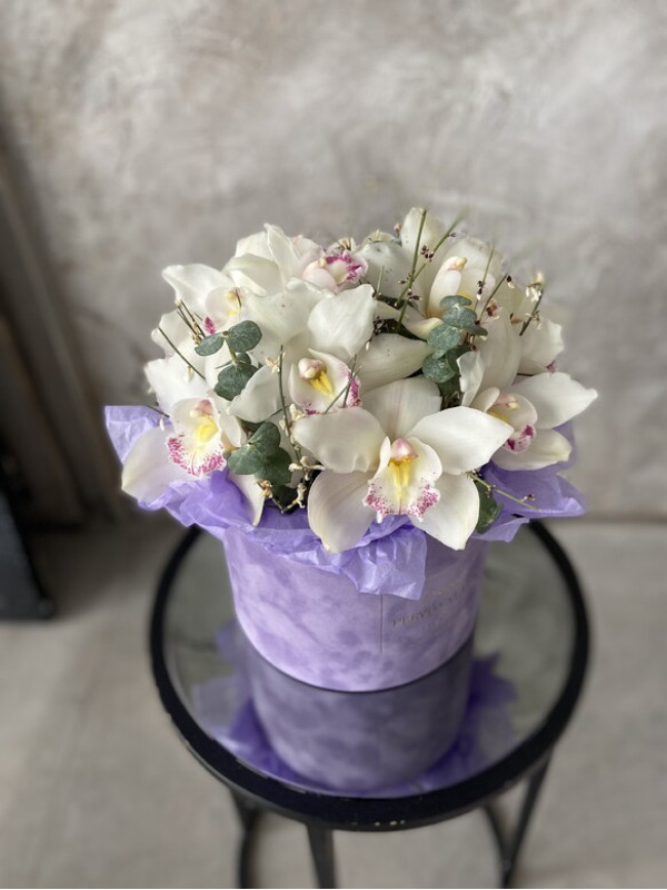 Композиция #77 из цимбидиума