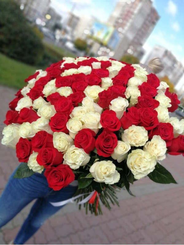 Букет 101 роза Эквадор Микс (белый, красный)