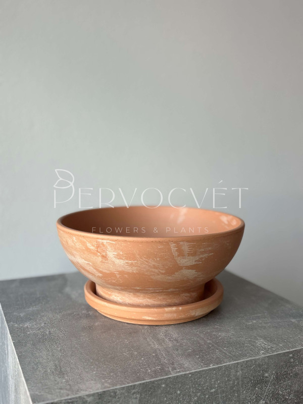 Чаша глиняная "Терракота" с блюдцем d 25 см