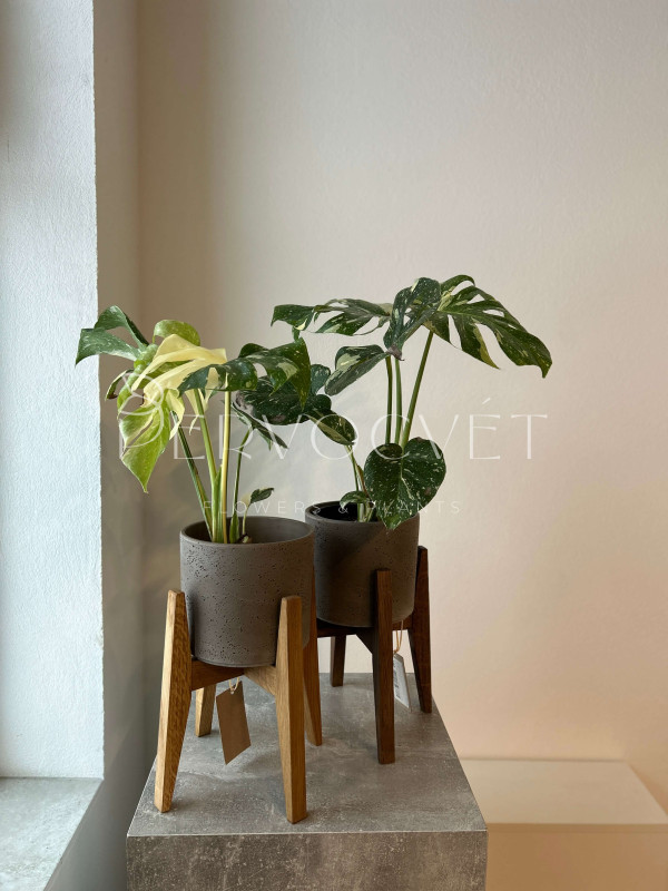 Подставка для растений - деревянная 26 см