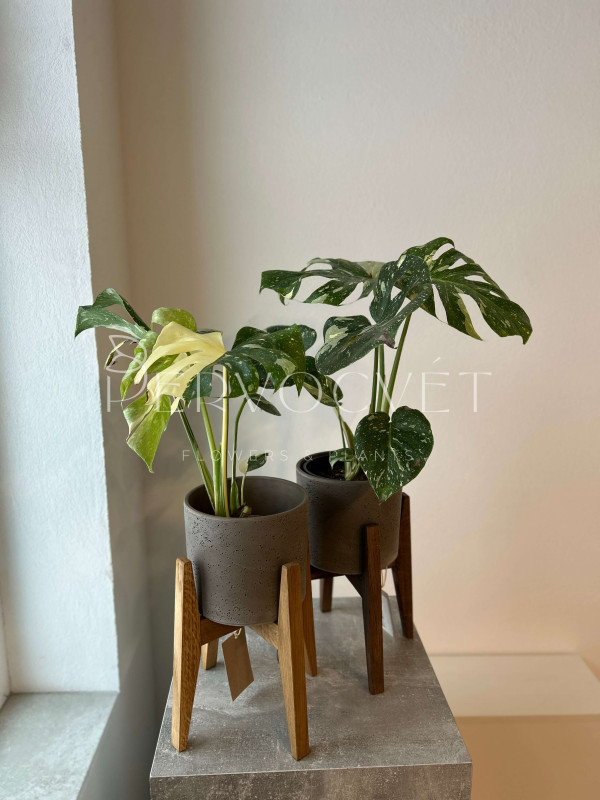 Подставка для растений - деревянная 26 см