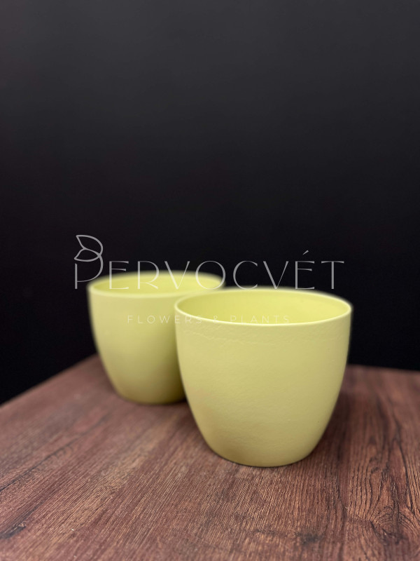 Кашпо керамическое "Крем" d 13.5 см