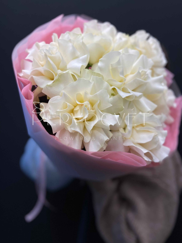 Букет #165 из белых французских роз