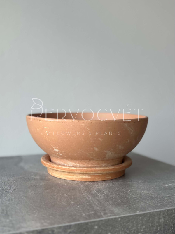 Чаша глиняная "Терракота" с блюдцем d 21 см