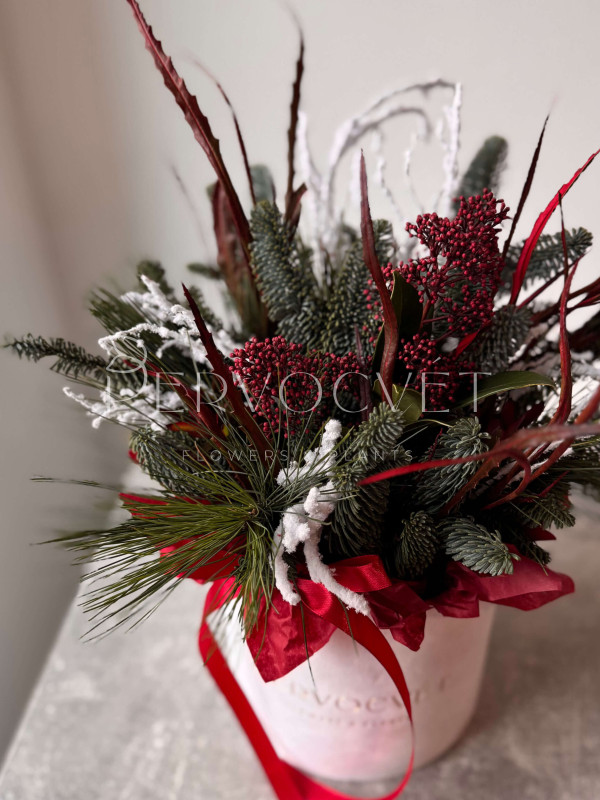 Новогодняя композиция #109 с красной скиммией