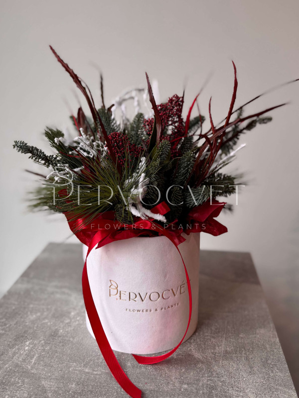 Новогодняя композиция #109 с красной скиммией