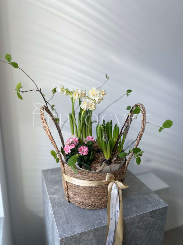 Корзина первоцветов #1 нарцисс, гиацинт, гвоздика