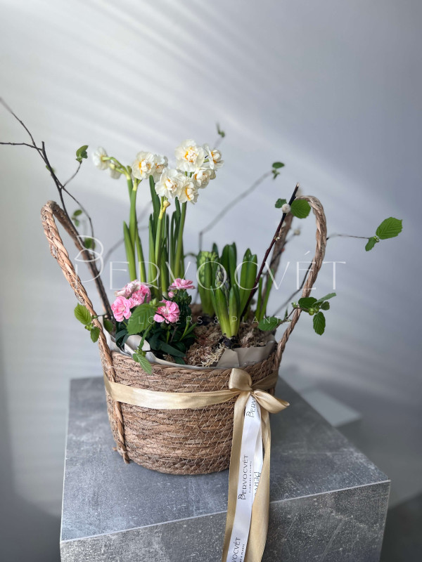 Корзина первоцветов #1 нарцисс, гиацинт, гвоздика