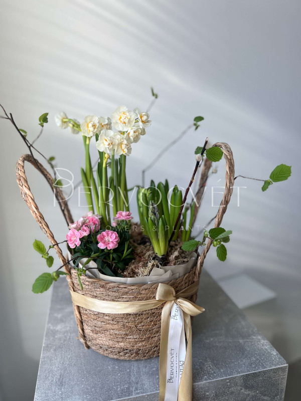 Корзина первоцветов #1 нарцисс, гиацинт, гвоздика