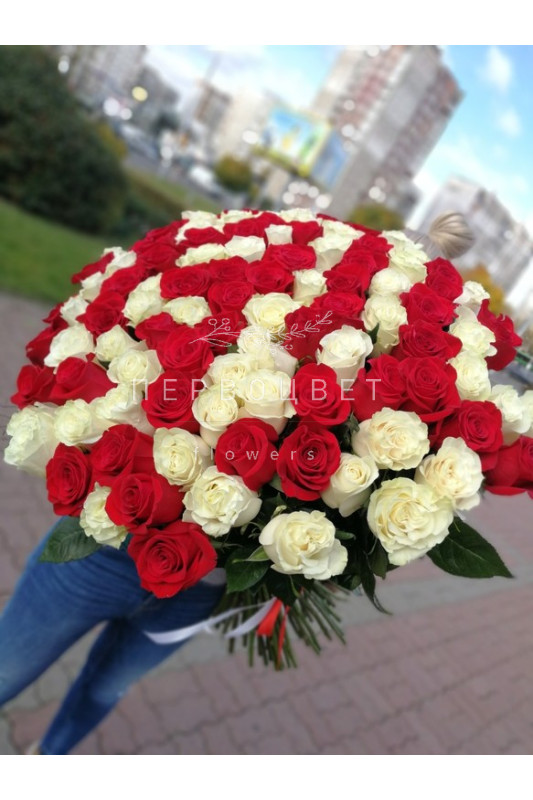 Букет 101 роза Эквадор Микс (белый, красный)