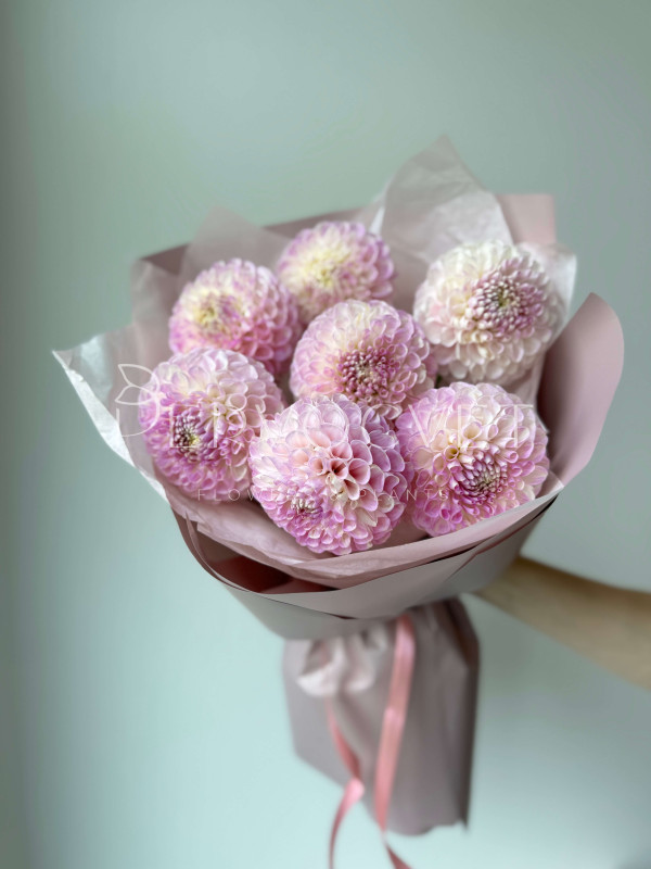 Букет #608 из розовых георгинов