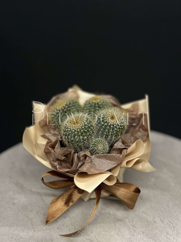 Кактус в оформлении #35