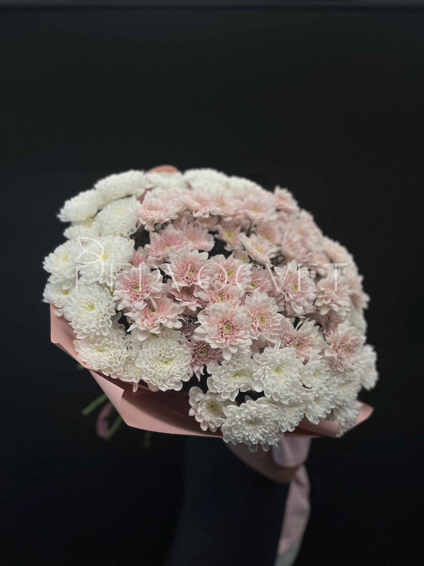 Букет #510 из хризантем