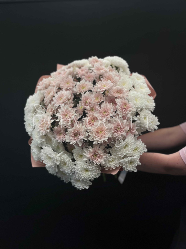 Букет #510 из хризантем