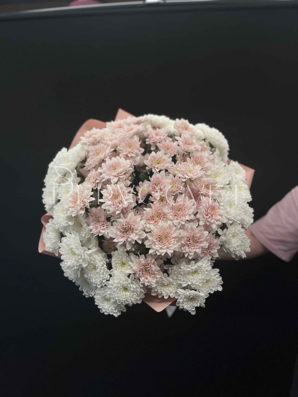 Букет #510 из хризантем