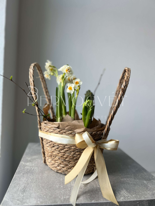 Корзина первоцветов #2 нарцисс, гиацинт