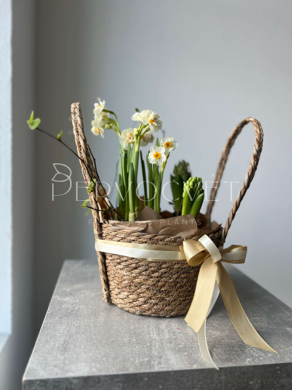 Корзина первоцветов #2 нарцисс, гиацинт