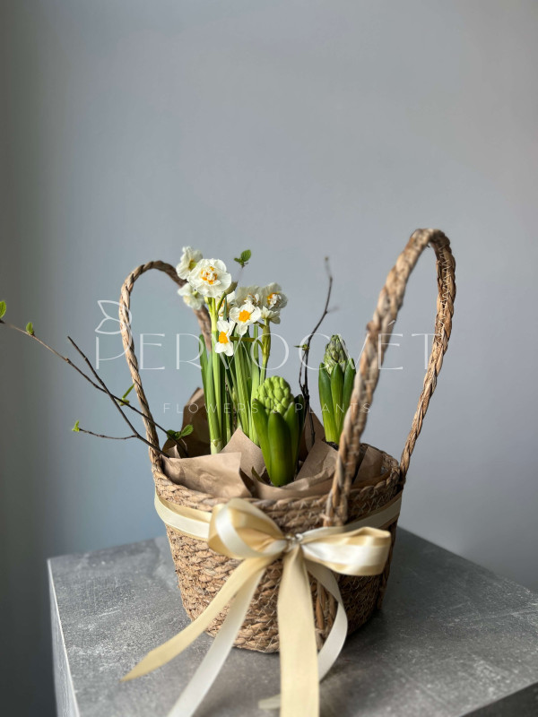 Корзина первоцветов #2 нарцисс, гиацинт