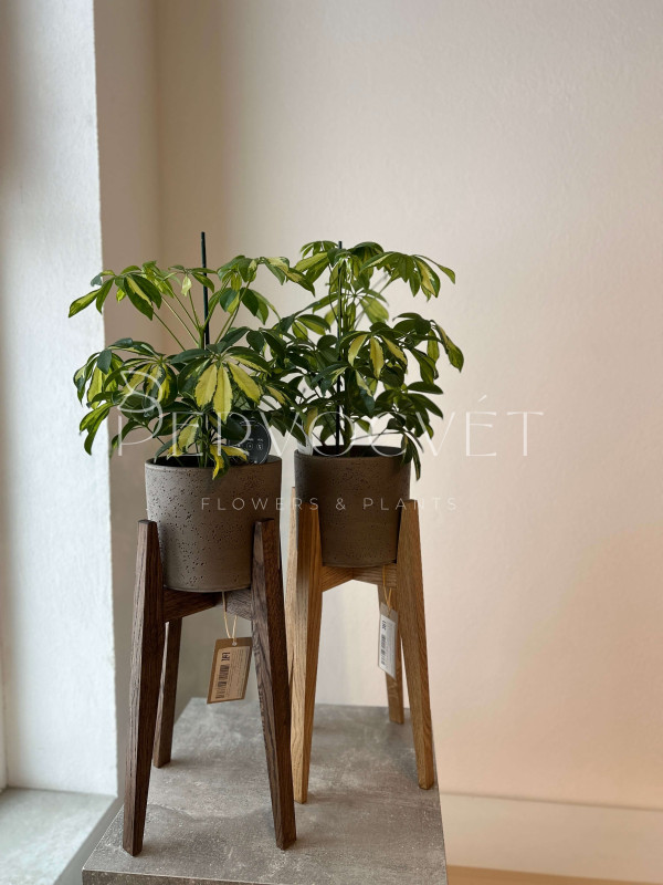 Подставка для растений - деревянная 38 см