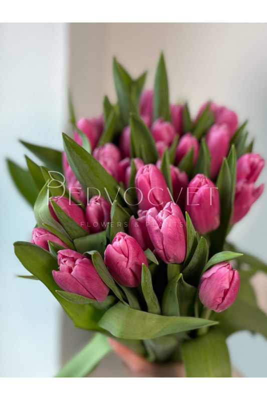 Тюльпан Розовый