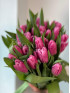 Тюльпан Розовый