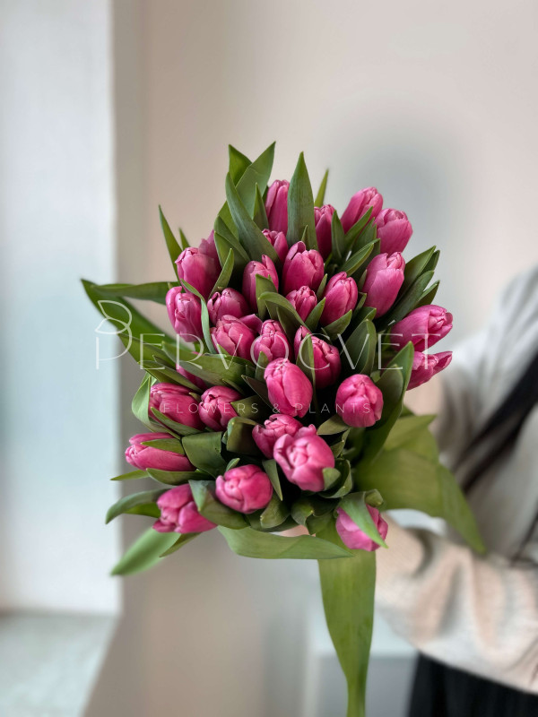 Тюльпан Розовый