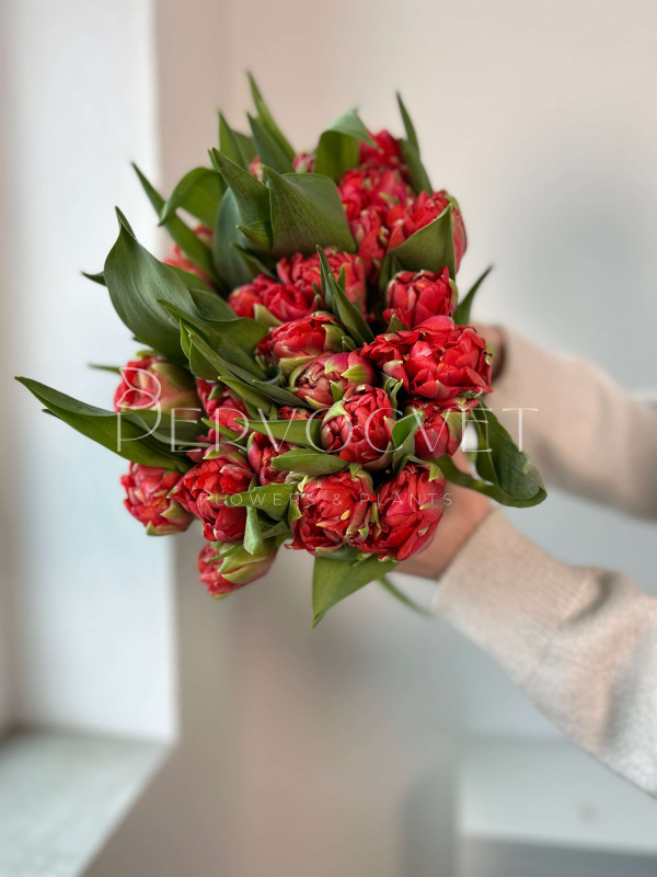 Тюльпан Красный Пионовидный