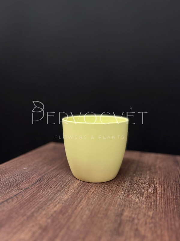 Кашпо керамическое "Крем" d 12.5 см