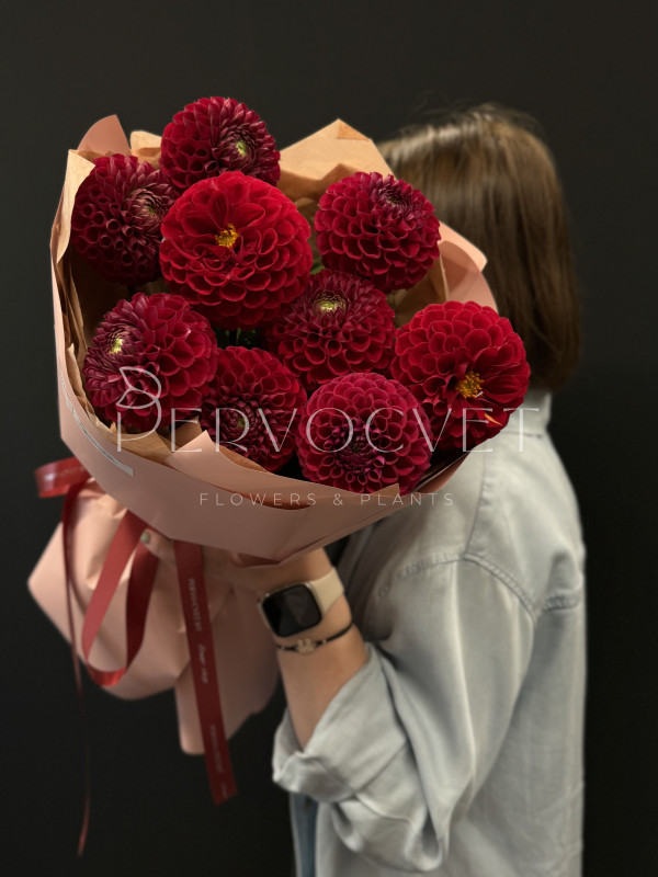Букет #502 из красных георгинов