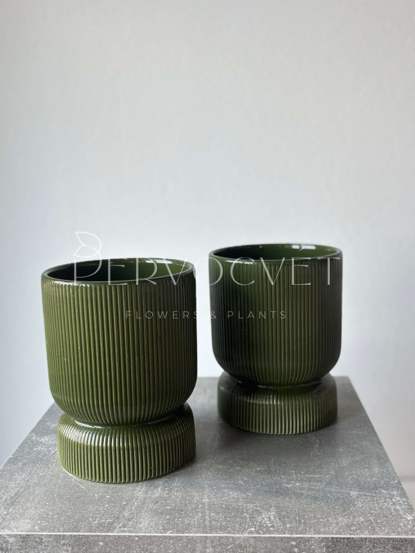 Кашпо керамическое "Зеленые полосы" d 14.5 см