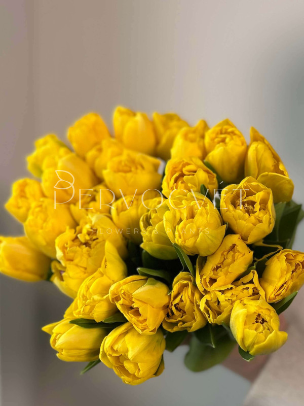 Тюльпан Желтый Пионовидный