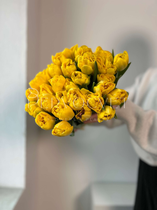 Тюльпан Желтый Пионовидный