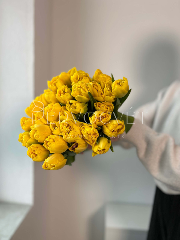 Тюльпан Желтый Пионовидный