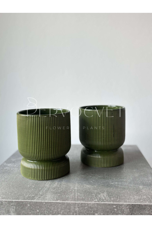 Кашпо керамическое "Зеленые полосы" d 12 см