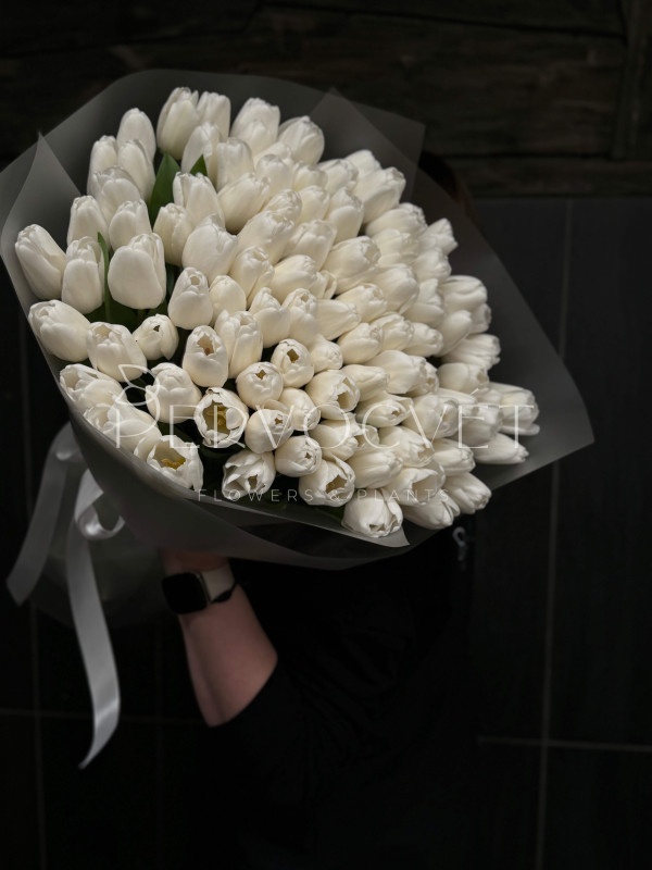 Букет XXL из 101 белого тюльпана