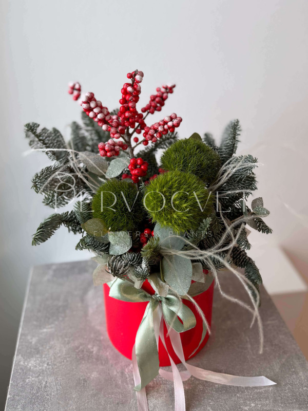 Новогодняя композиция #117 с хвоей и гвоздикой Киви