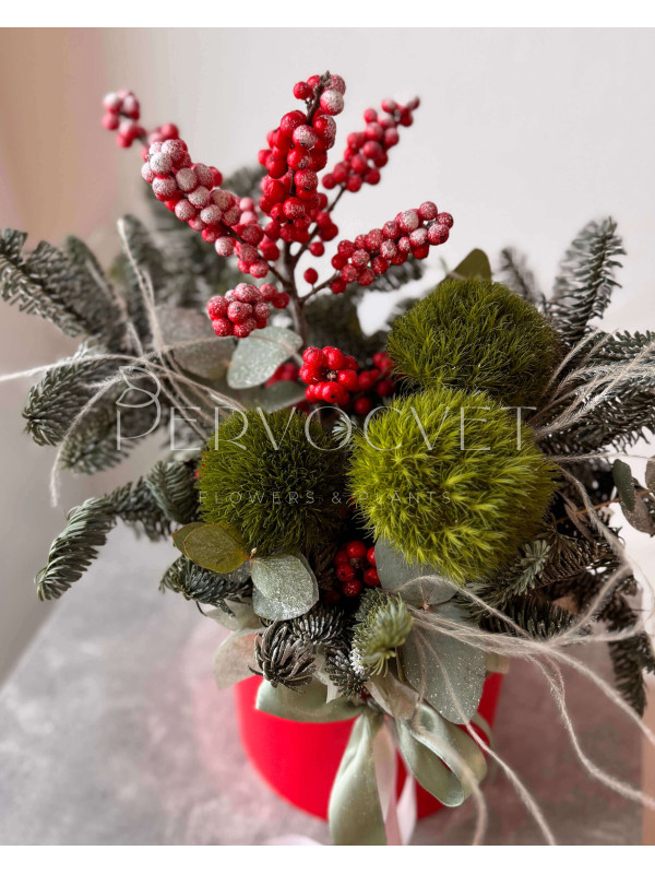 Новогодняя композиция #117 с хвоей и гвоздикой Киви
