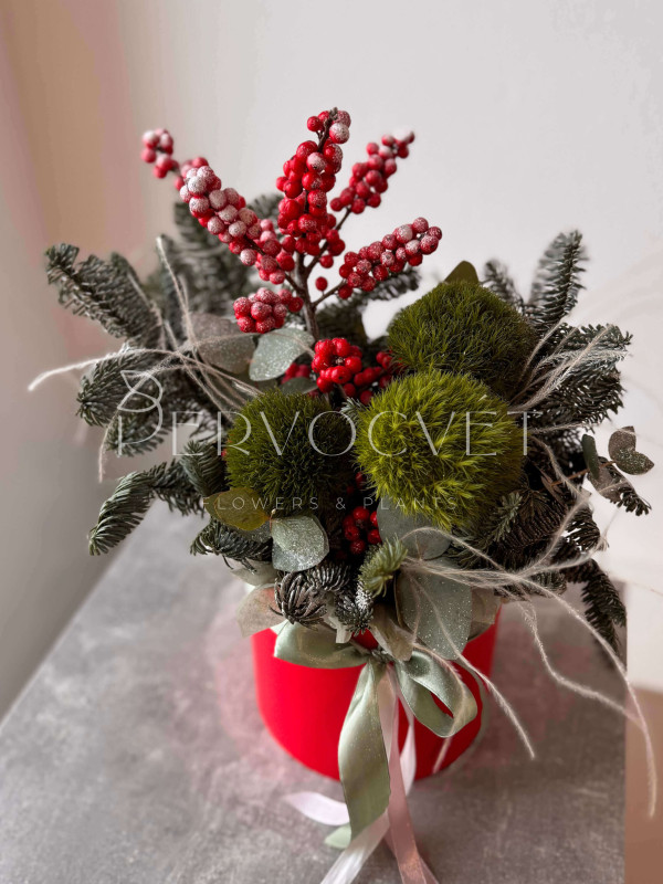 Новогодняя композиция #117 с хвоей и гвоздикой Киви