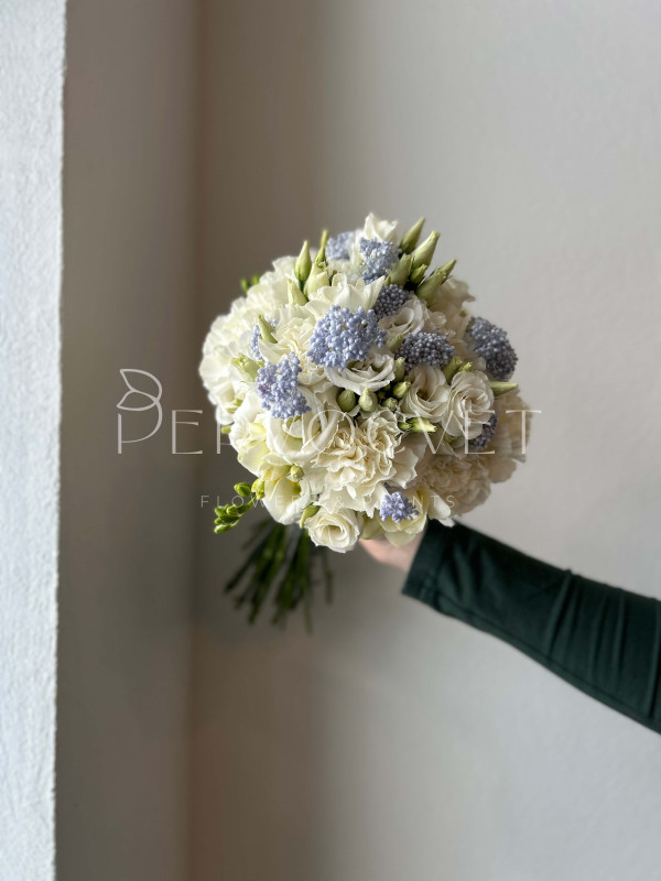 Букет невесты #19 белая гвоздика и голубой озотамнус
