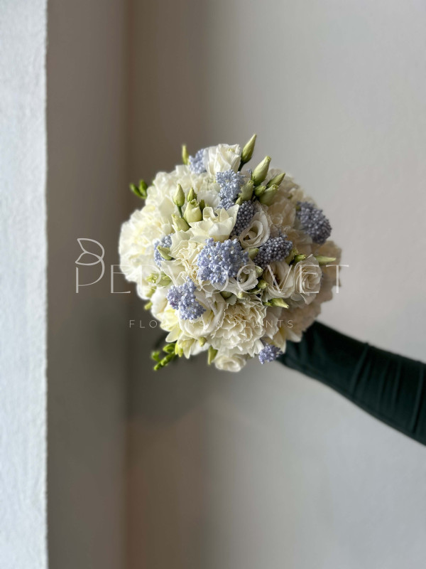 Букет невесты #19 белая гвоздика и голубой озотамнус
